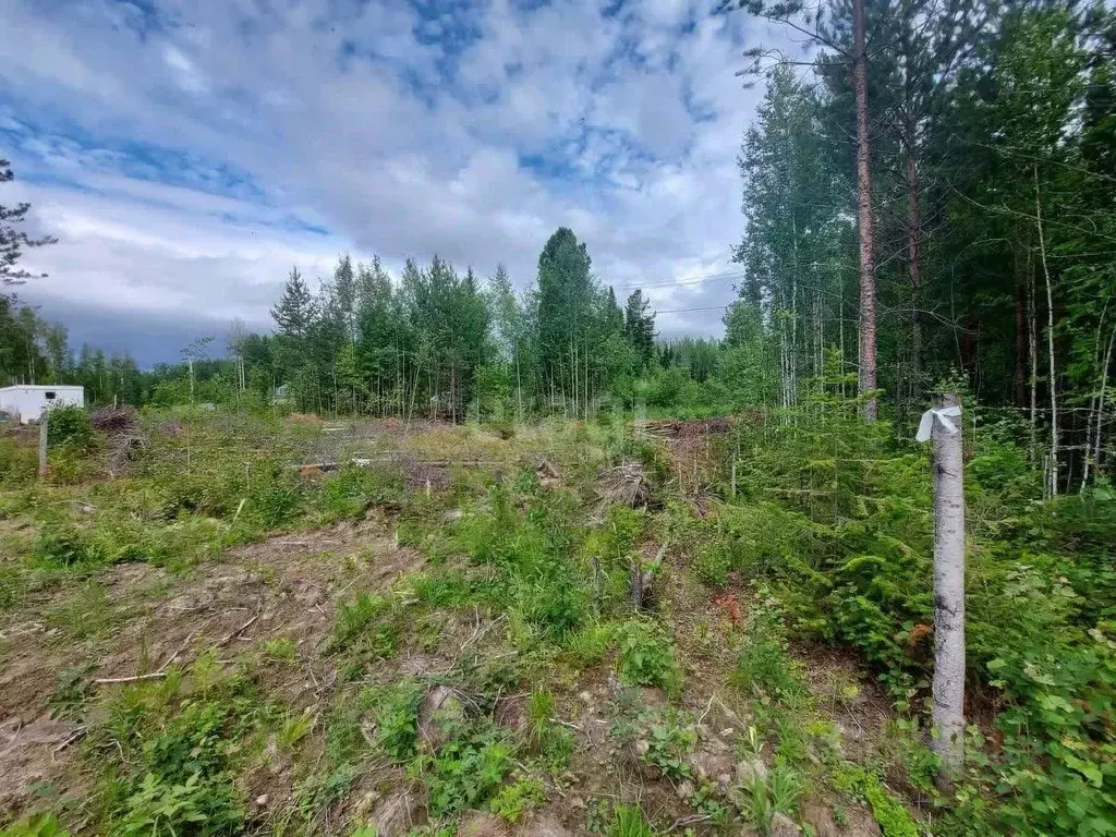 Участок в Ханты-Мансийский АО, Ханты-Мансийск Медик СОТ,  (10.0 сот.) - Фото 1