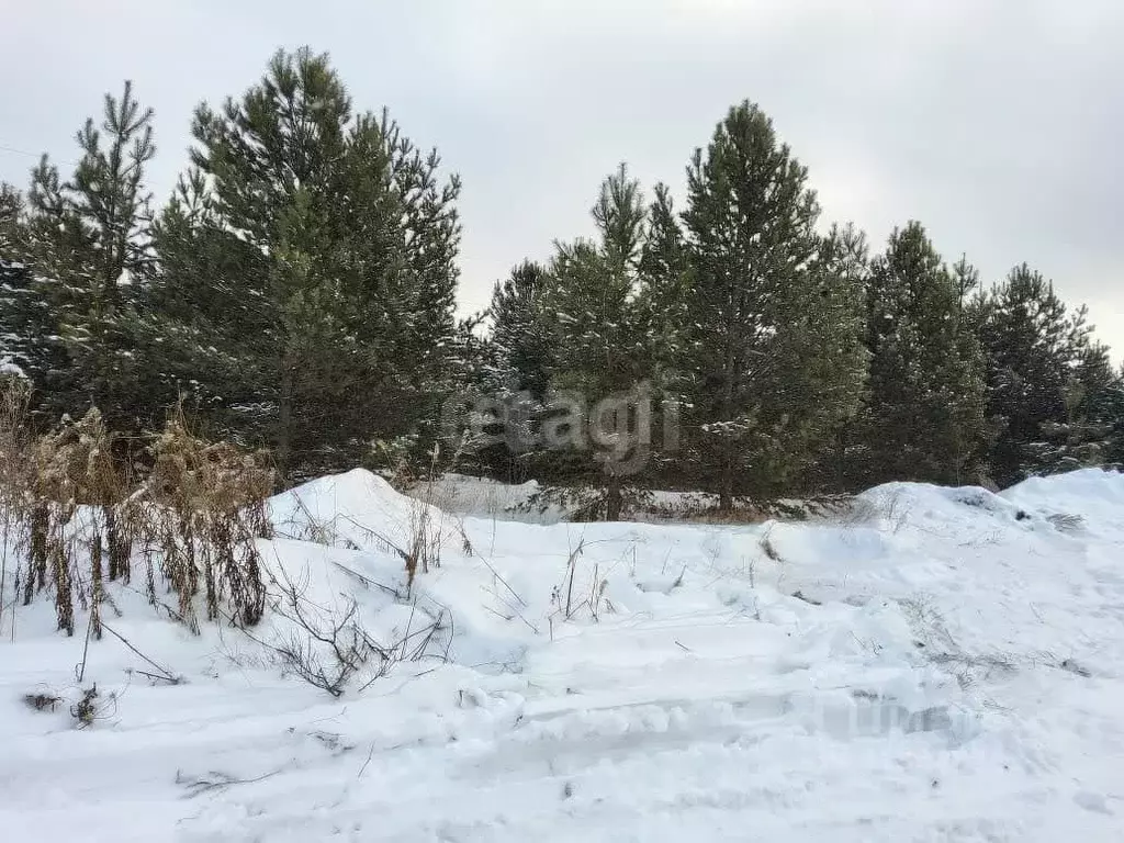 Участок в Свердловская область, Нижний Тагил  (7.0 сот.) - Фото 2