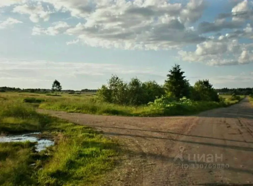 Участок в Ленинградская область, Выборгский район, пос. Гончарово  ... - Фото 2