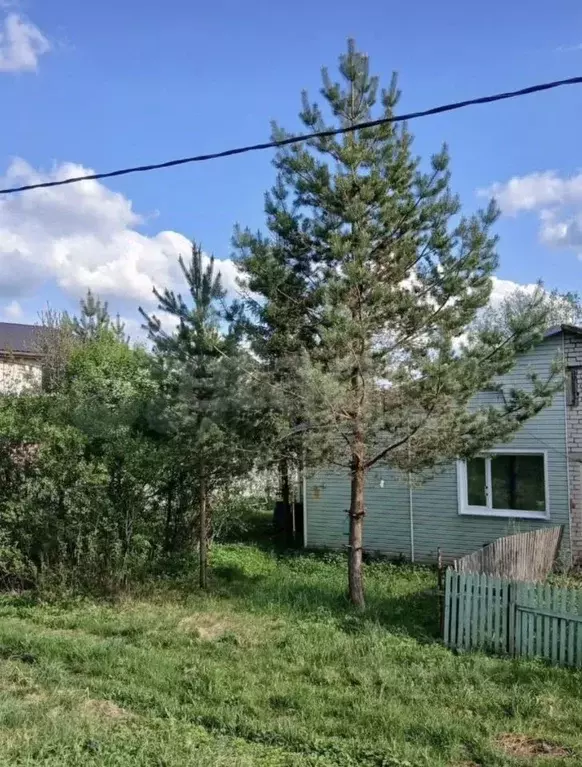 Дом в Ярославская область, с. Большое ул. Мясникова, 66 (48 м) - Фото 1