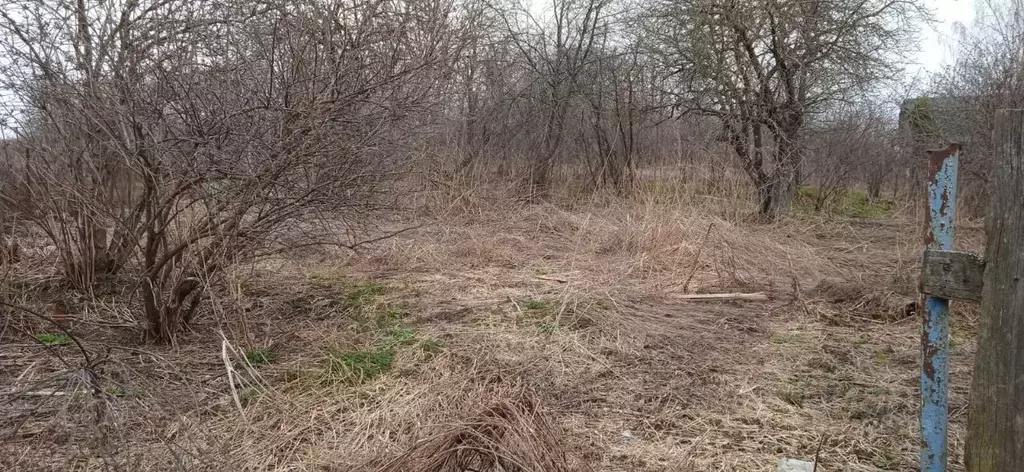 Участок в Владимирская область, Суздальский район, Новоалександровское ... - Фото 1