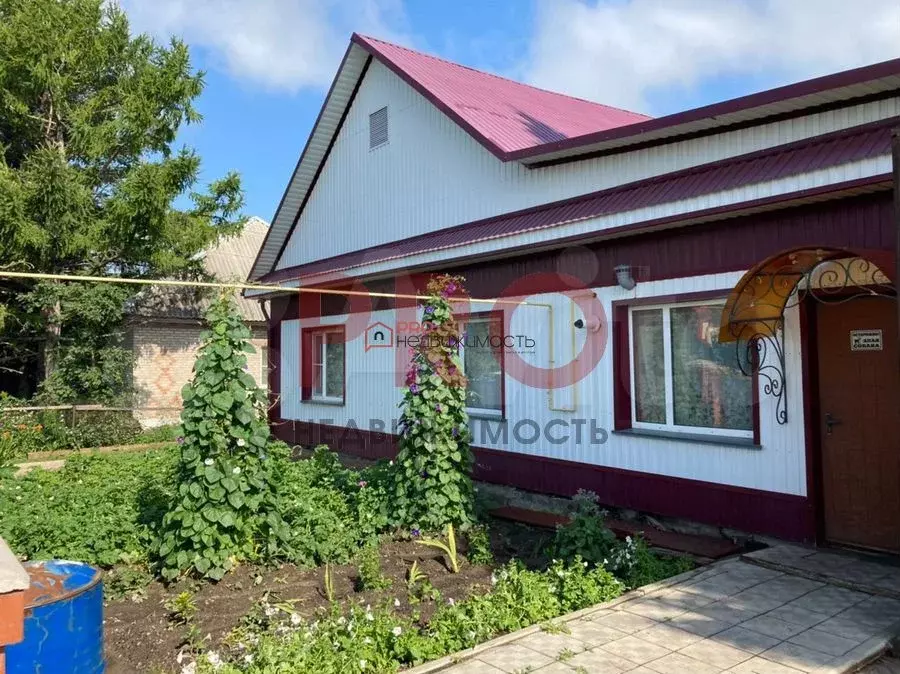 Купить Дачу В Куйбышеве Новосибирской Области