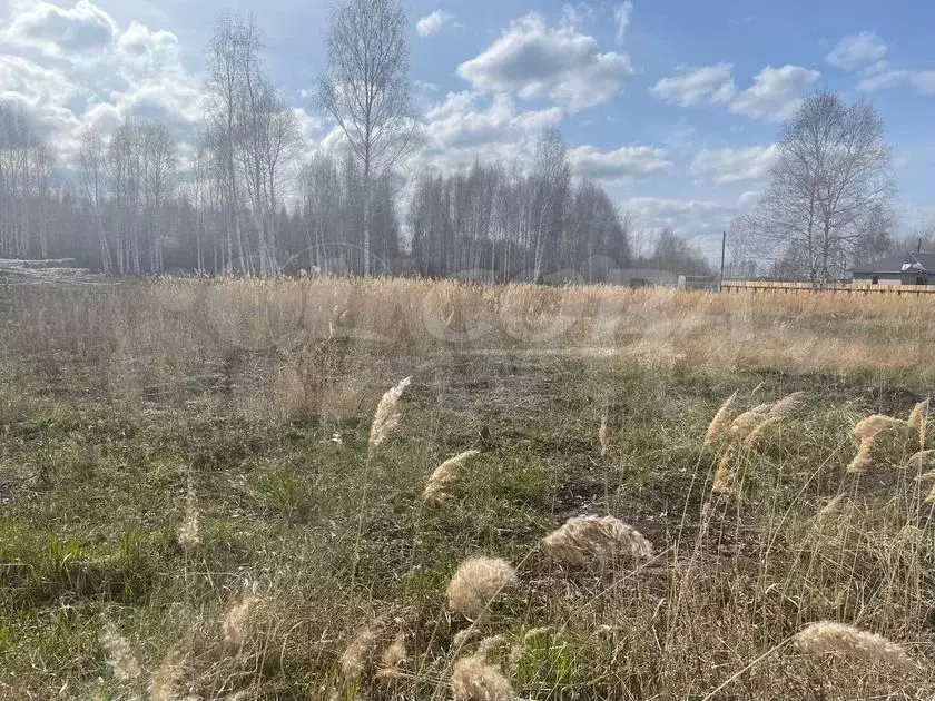 Участок 10 сот. (СНТ, ДНП) - Фото 1