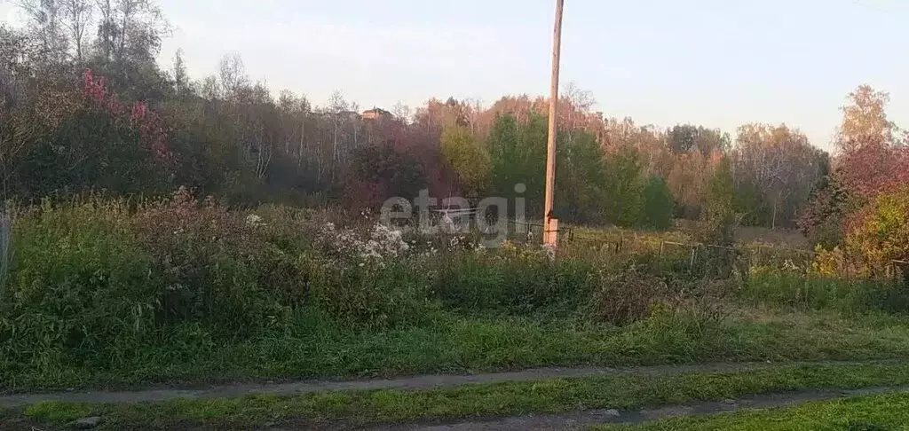 Участок в Томск, садовое товарищество Мебельщик (10 м) - Фото 0