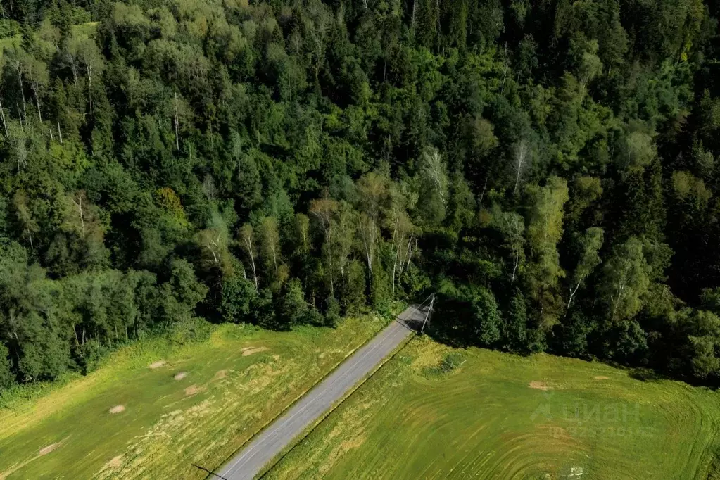 Участок в Московская область, Истра муниципальный округ, д. Дубровское ... - Фото 1