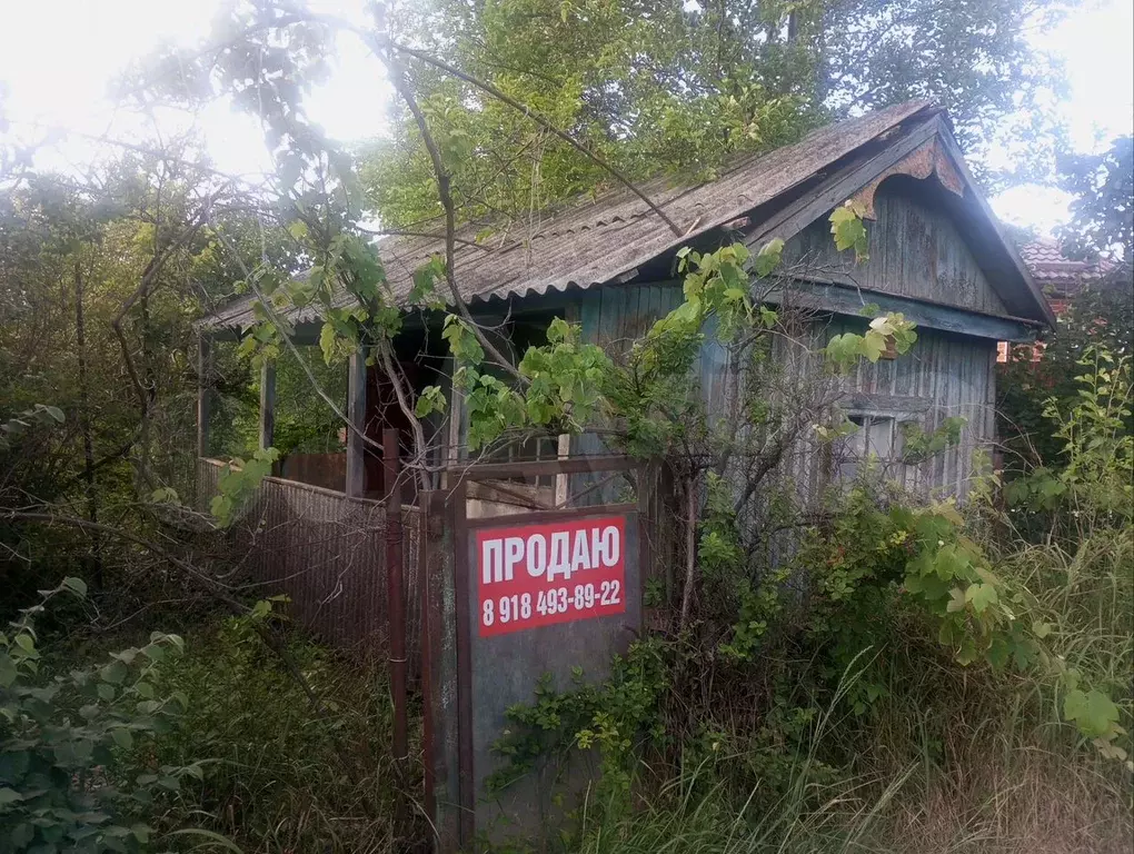 Участок 6,5 сот. (СНТ, ДНП) - Фото 1