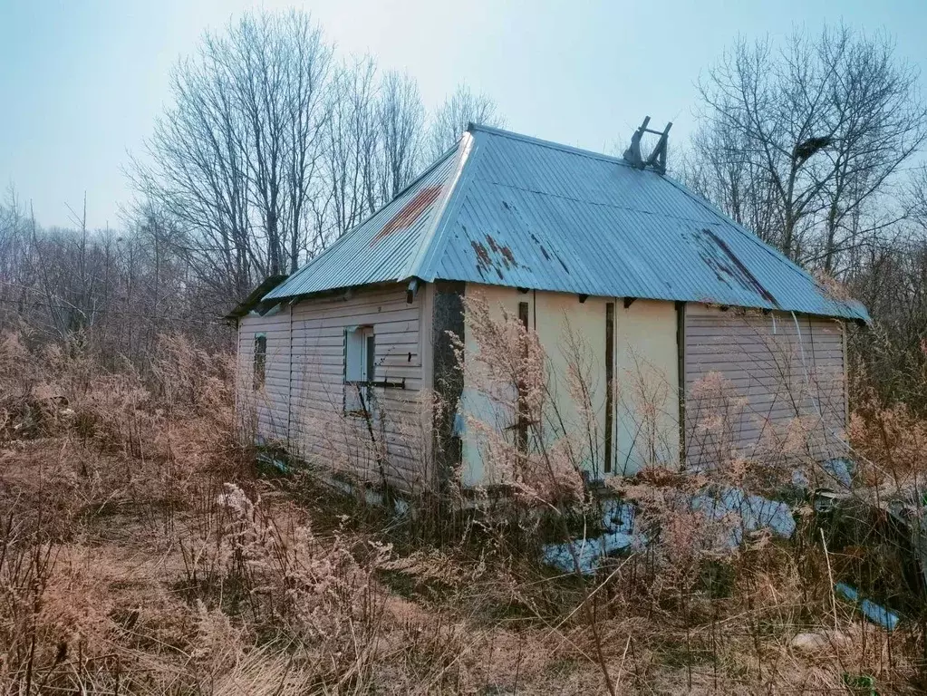 Дом в Хабаровский край, Хабаровский район, с. Малышево Зимняя ул., 2А ... - Фото 1