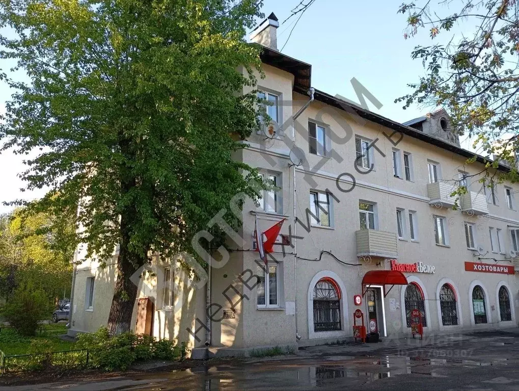 2-к кв. Московская область, Электроугли Богородский городской округ, ... - Фото 1