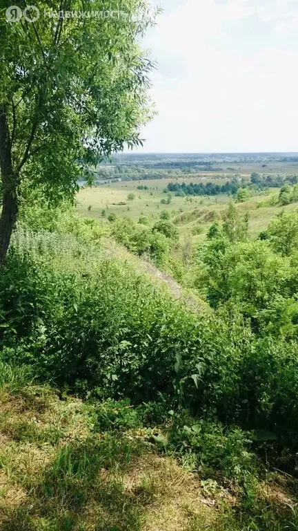 Участок в Юровское сельское поселение, деревня Яковск (29.17 м) - Фото 1