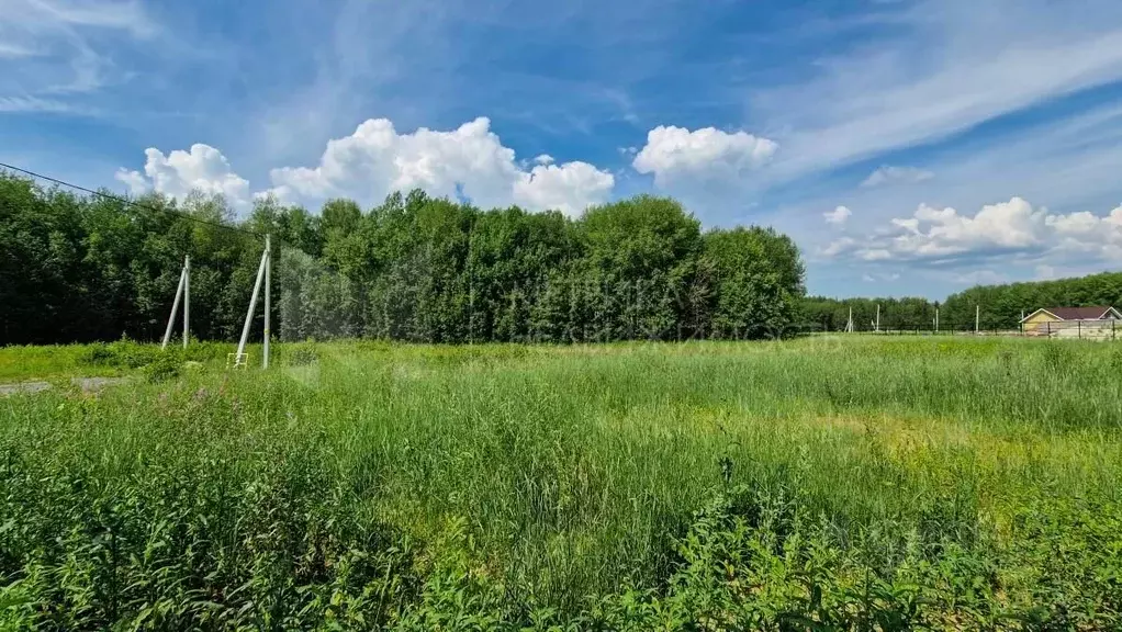 Участок в Тюменская область, Тюменский муниципальный округ, с. Кулига ... - Фото 1