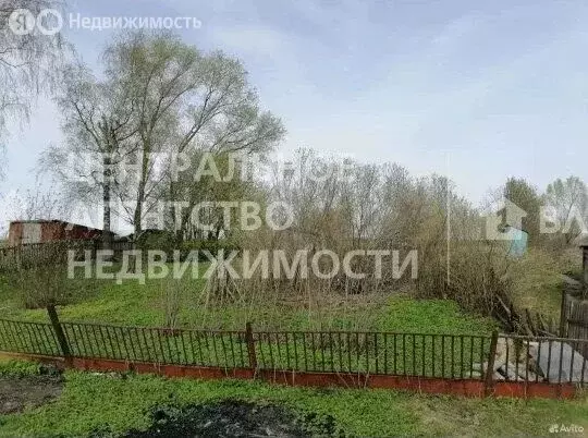 Участок в Рязанская область, Пронский муниципальный округ, село ... - Фото 2