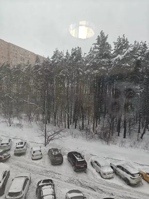 2-к кв. Московская область, Видное ул. Завидная, 1 (64.0 м) - Фото 1