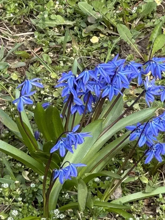 2-к кв. Московская область, Люберцы Коммунистическая ул., 4к1 (90.0 м) - Фото 1