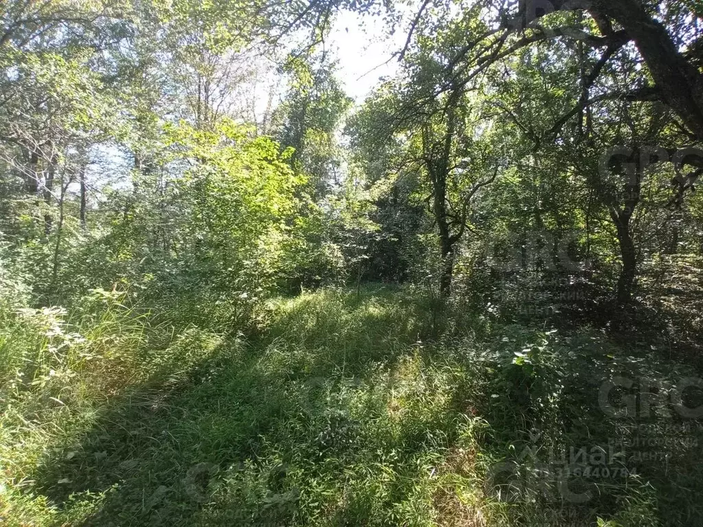 Участок в Краснодарский край, Сочи городской округ, с. Раздольное ул. ... - Фото 0