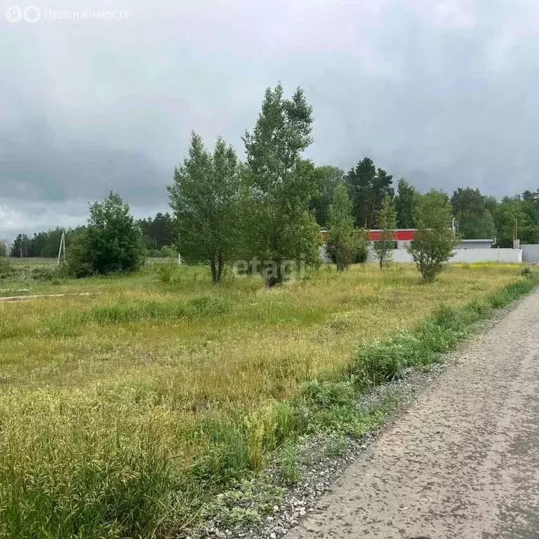 Участок в Тюменский район, село Салаирка (10 м) - Фото 1