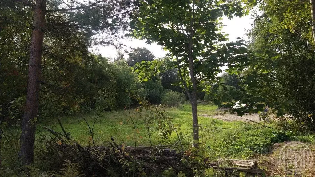 Участок в Ленинградская область, Ломоносовский район, Лебяженское ... - Фото 1