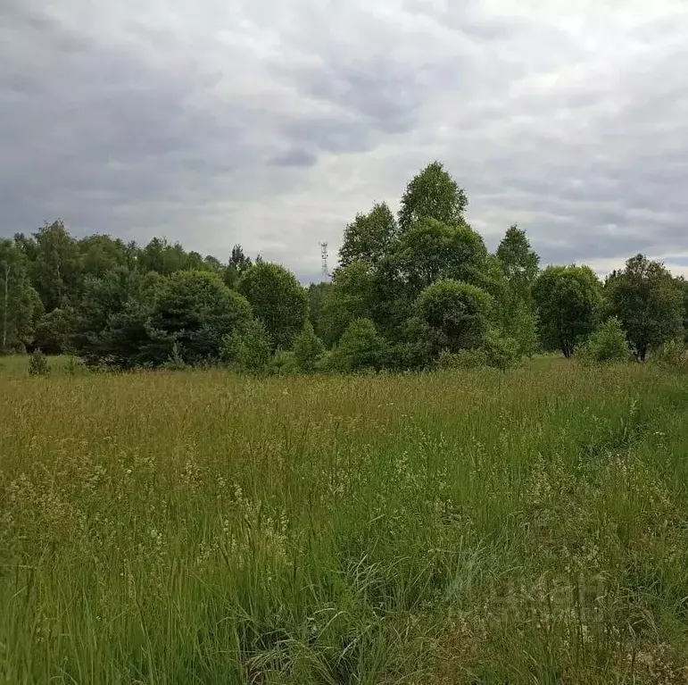 Участок в Московская область, Серпухов городской округ, д. Верхнее ... - Фото 0