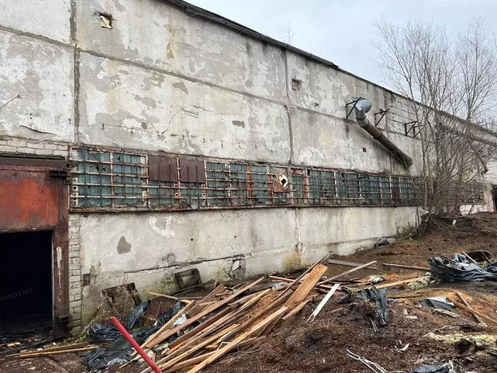 Участок в Калининградская область, Черняховск пер. 2-й Победы, 32 ... - Фото 1