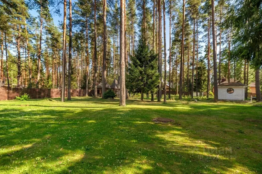 Участок в Ленинградская область, Всеволожский район, Сертоловское ... - Фото 1