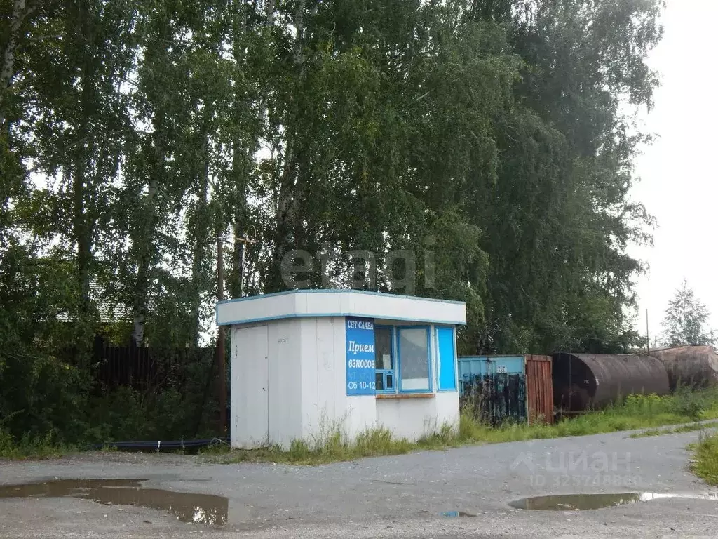 Участок в Новосибирская область, Бердск Слава садовое товарищество, ... - Фото 1