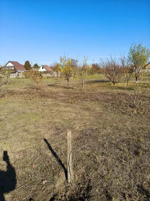 Участок в Краснодарский край, Ейский район, Должанская ст-ца ул. ... - Фото 2