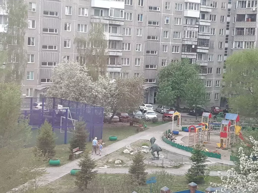 2-к кв. Новосибирская область, Новосибирск ул. Кропоткина, 118/2 (44.0 ... - Фото 1