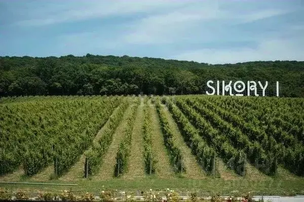 Участок в Краснодарский край, Новороссийск городской округ, ... - Фото 1