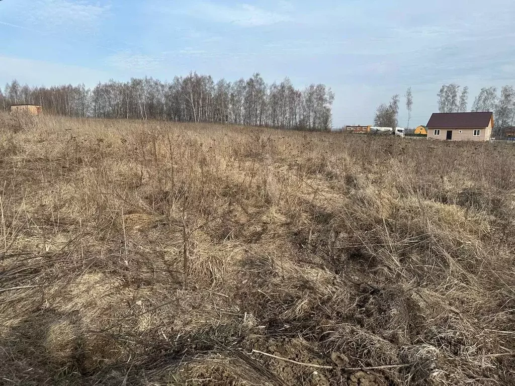 Участок в Московская область, Серебряные Пруды пгт ул. Свободная (12.0 ... - Фото 0