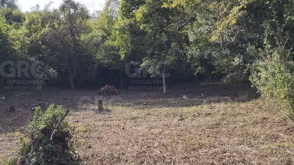 Участок в Краснодарский край, Сочи Приморье мкр, ул. Есауленко, 12/2 ... - Фото 1