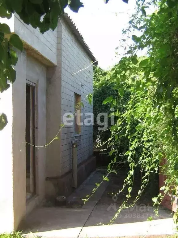 Дом в Крым, Черноморское пгт, Тарханкут СНТ  (44 м) - Фото 0