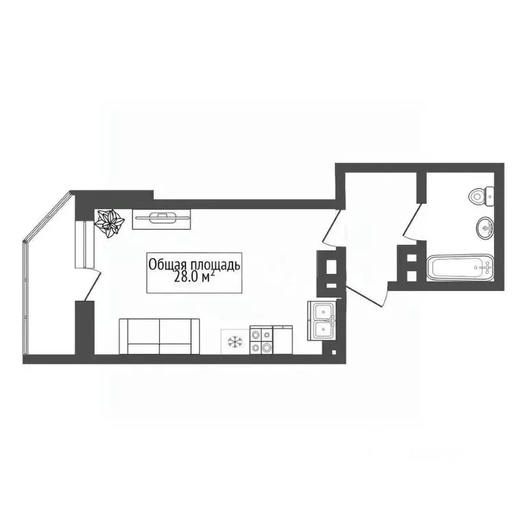 Студия Новосибирская область, Новосибирск ул. Фрунзе, 49/2 (28.0 м) - Фото 2