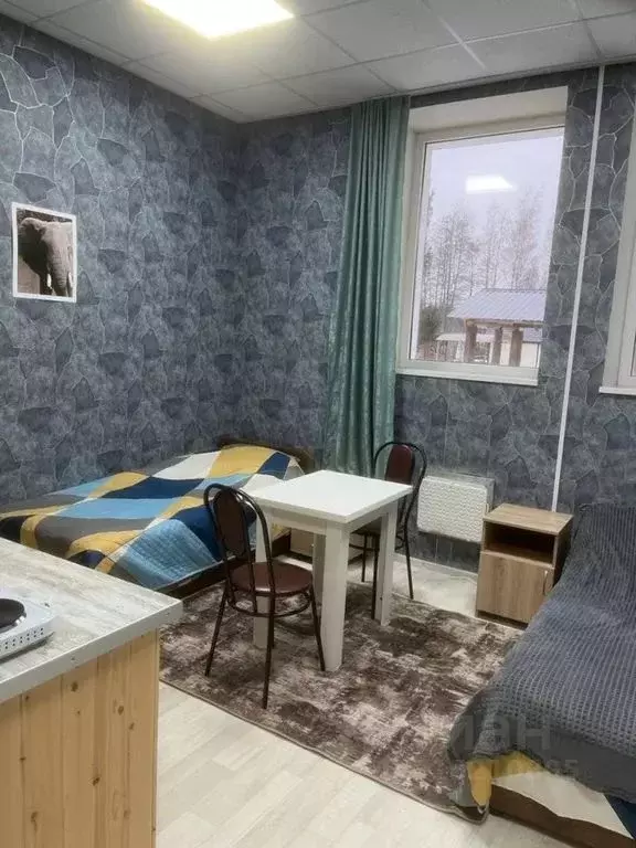 Комната Ленинградская область, Ломоносовский район, Лебяженское ... - Фото 0