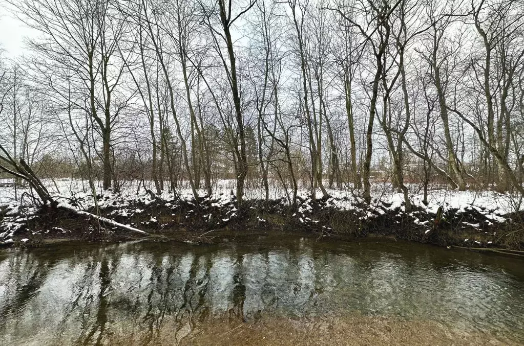 Участок в Ленинградская область, Ломоносовский район, Ропшинское ... - Фото 1