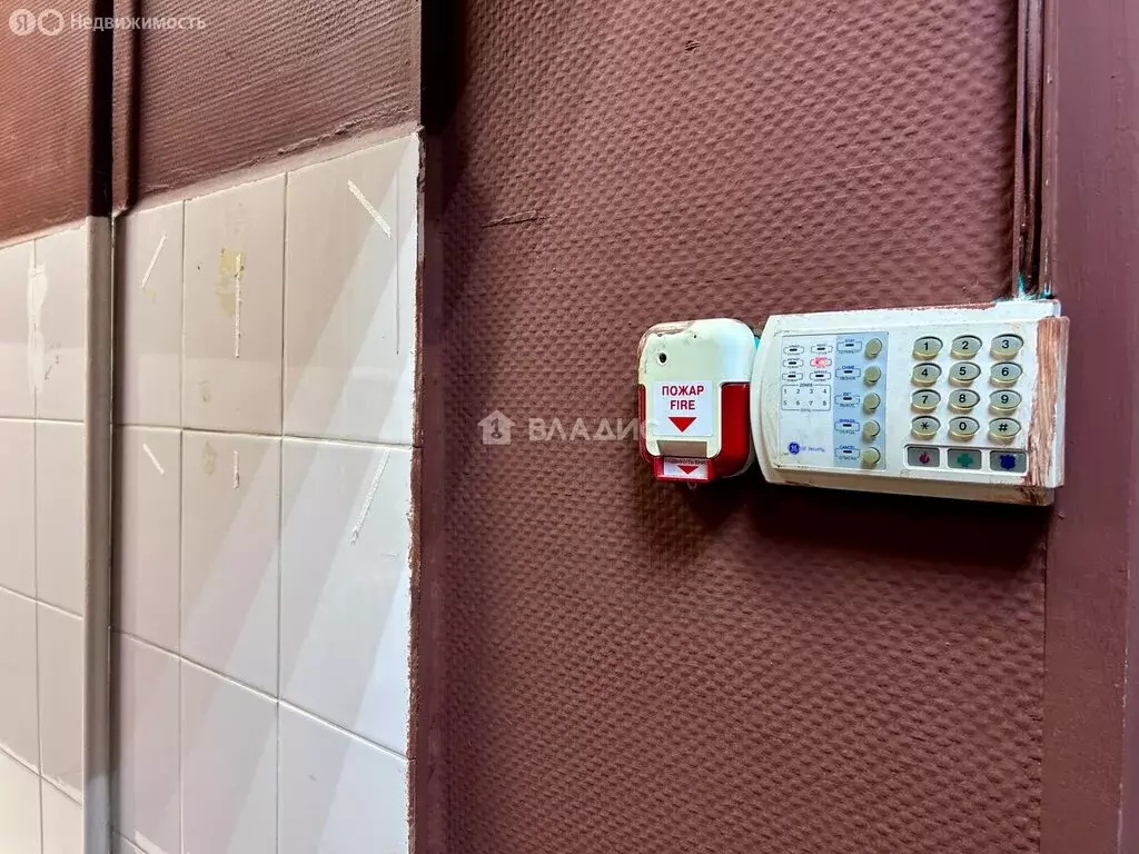 Помещение свободного назначения (38.9 м) - Фото 2