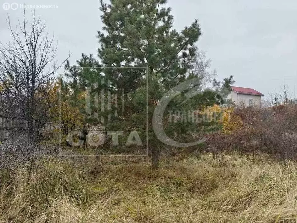 Участок в Воронеж, улица Черепанова, 110 (8 м) - Фото 2