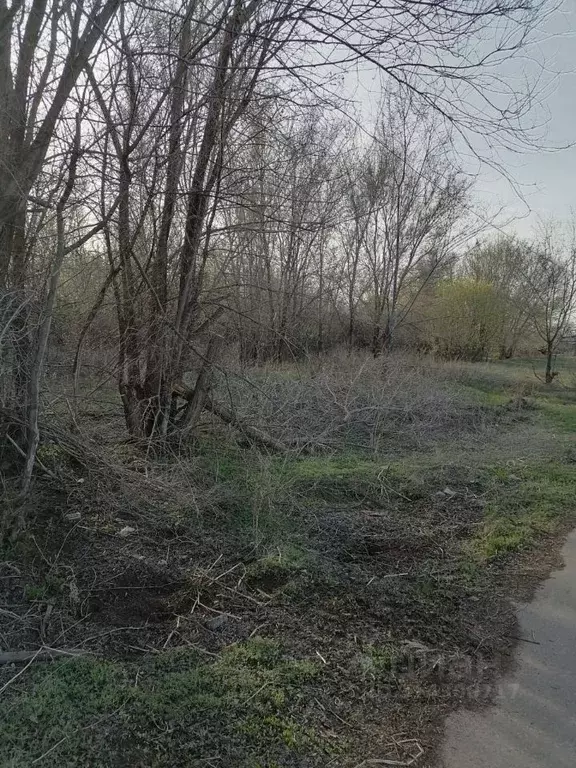 Участок в Саратовская область, Духовницкий район, с. Березовая Лука ... - Фото 0