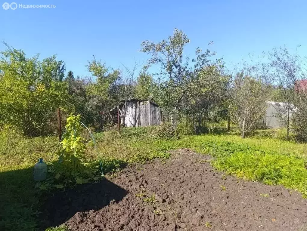 Участок в Кармаскалинский район, Старомусинский сельсовет, СНТ ... - Фото 2