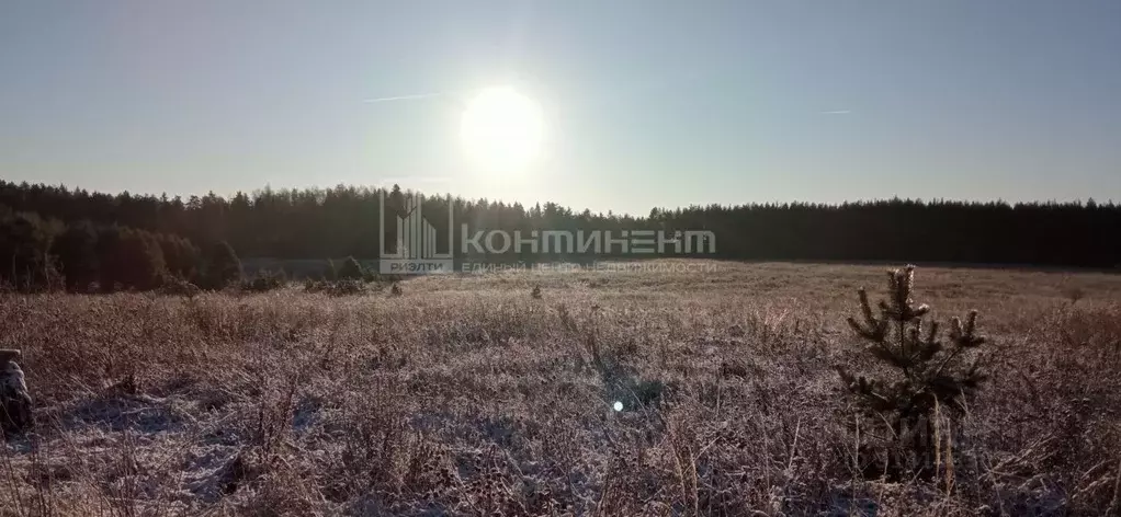 Участок в Владимирская область, Ковровский район, Клязьминское с/пос, ... - Фото 1