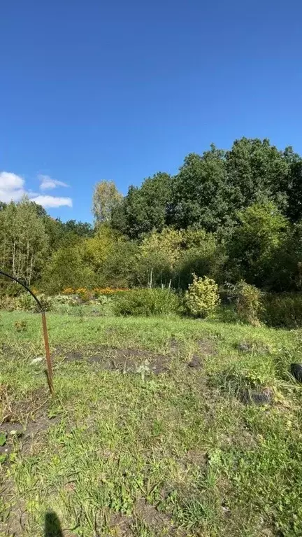 Участок в Пензенская область, Бессоновский район, Элита садоводческое ... - Фото 2