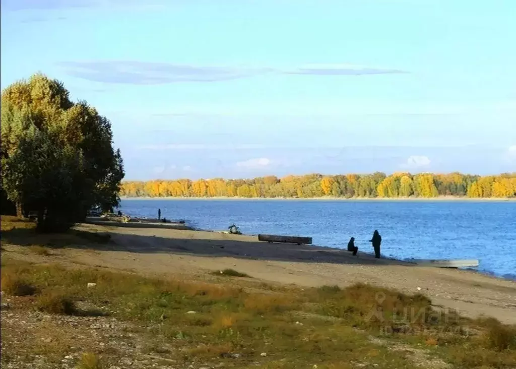 Участок в Новосибирская область, Новосибирский район, Мичуринский ... - Фото 2