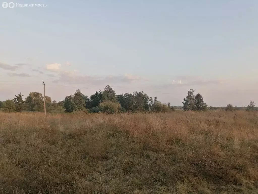 Участок в Курск, урочище Кулига (20 м) - Фото 1