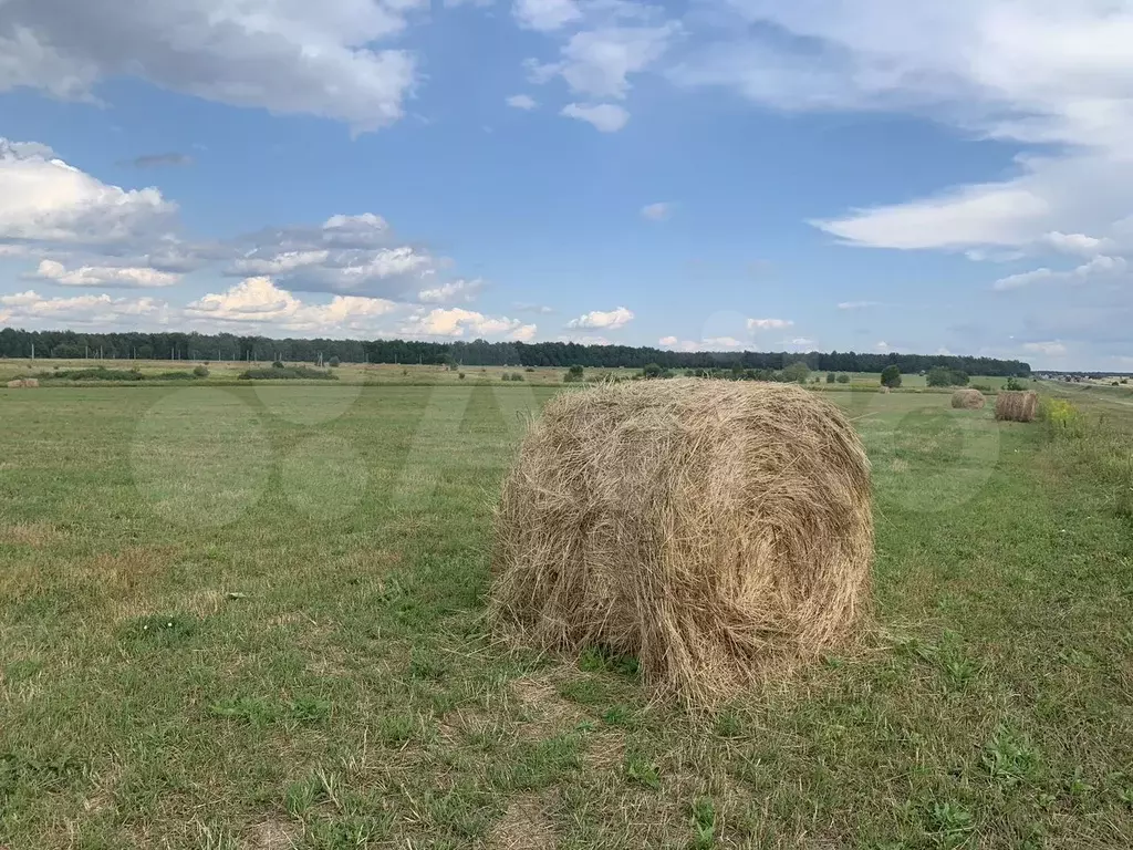 Участок 10 сот. (ИЖС) - Фото 0
