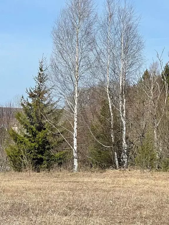 Участок 8 сот. (ИЖС) - Фото 0