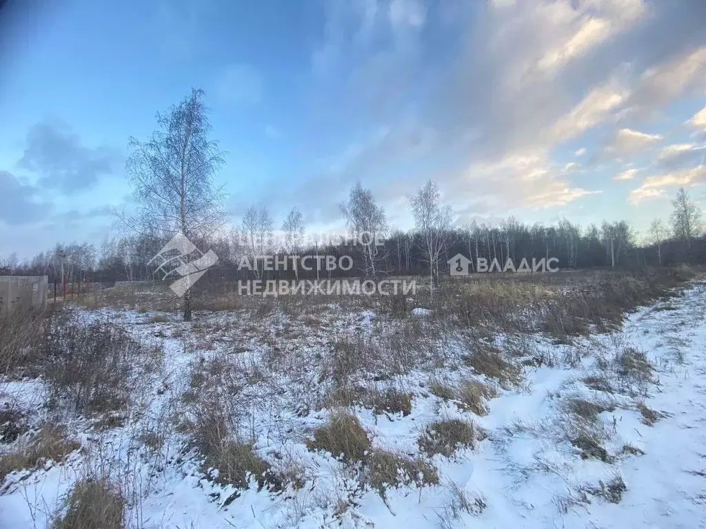 Участок в Рязанская область, Пронский муниципальный округ, д. Ивашково ... - Фото 1