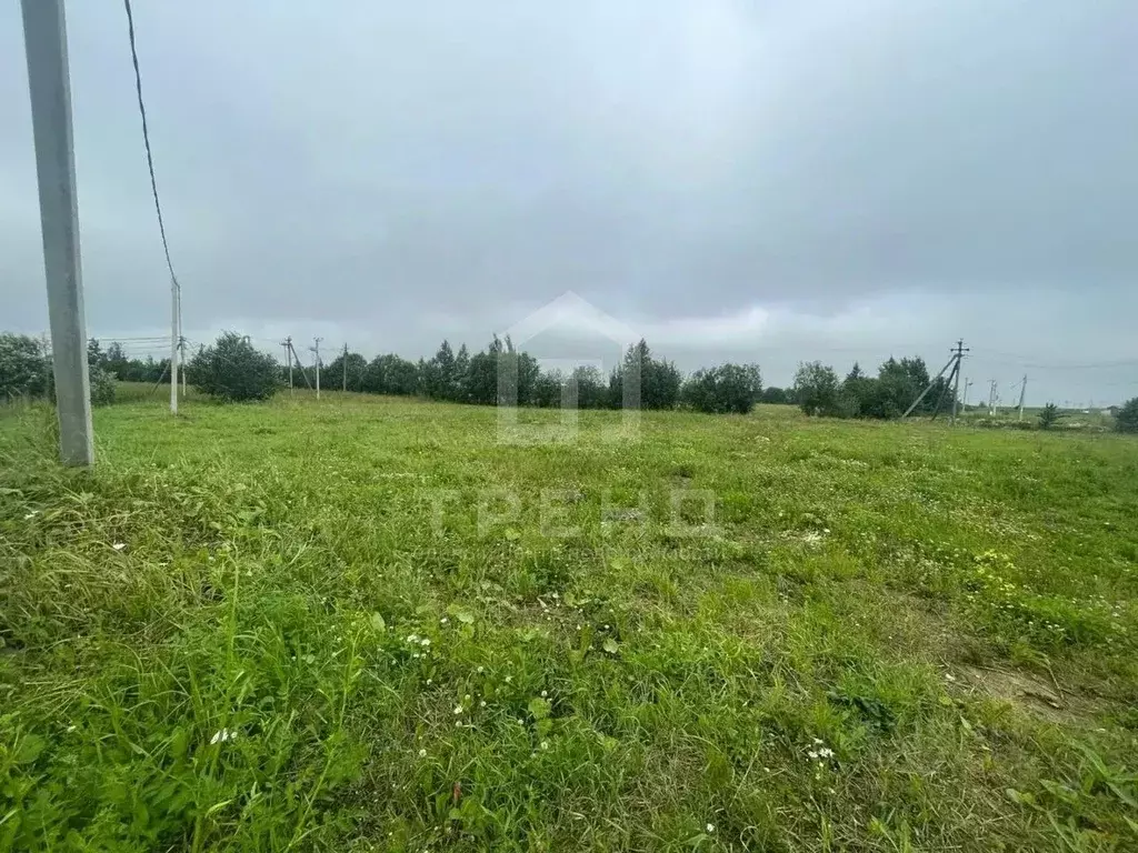 Участок в Ленинградская область, Ломоносовский район, Ропшинское ... - Фото 2