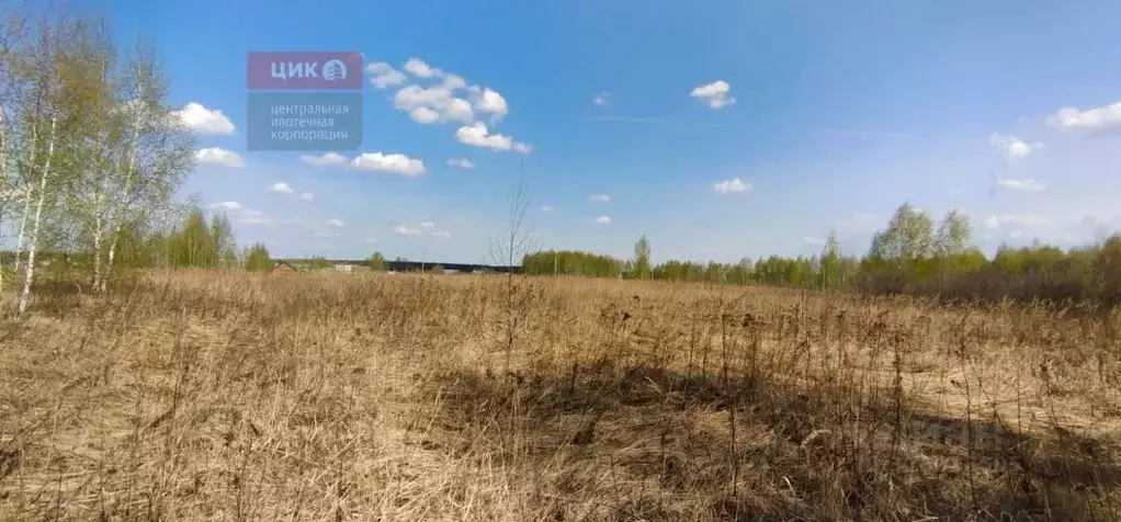 Участок в Рязанская область, Спасский муниципальный округ, с. Сушки ... - Фото 1