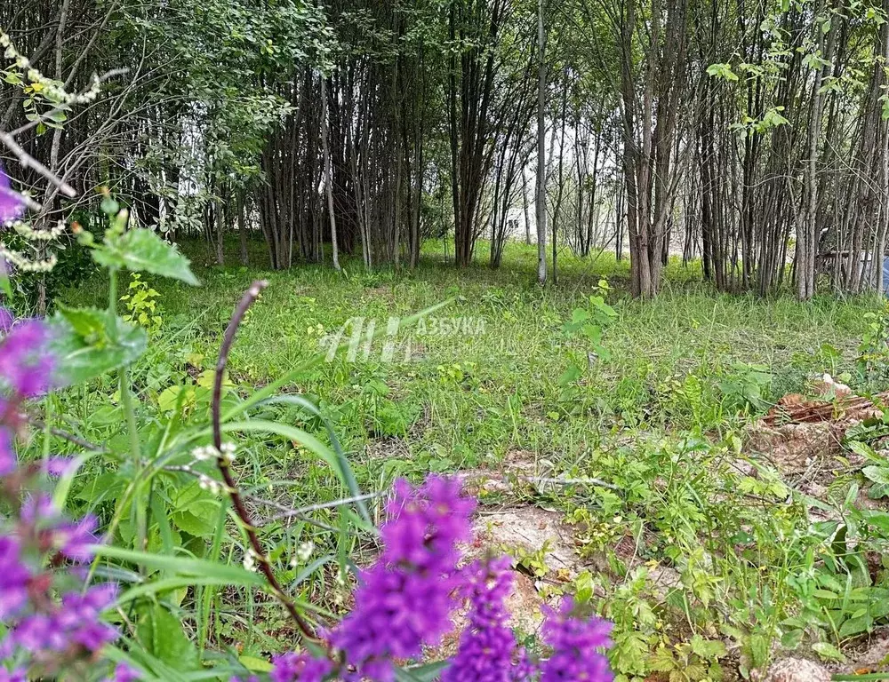 Участок в Московская область, Одинцовский городской округ, д. Палицы  ... - Фото 0