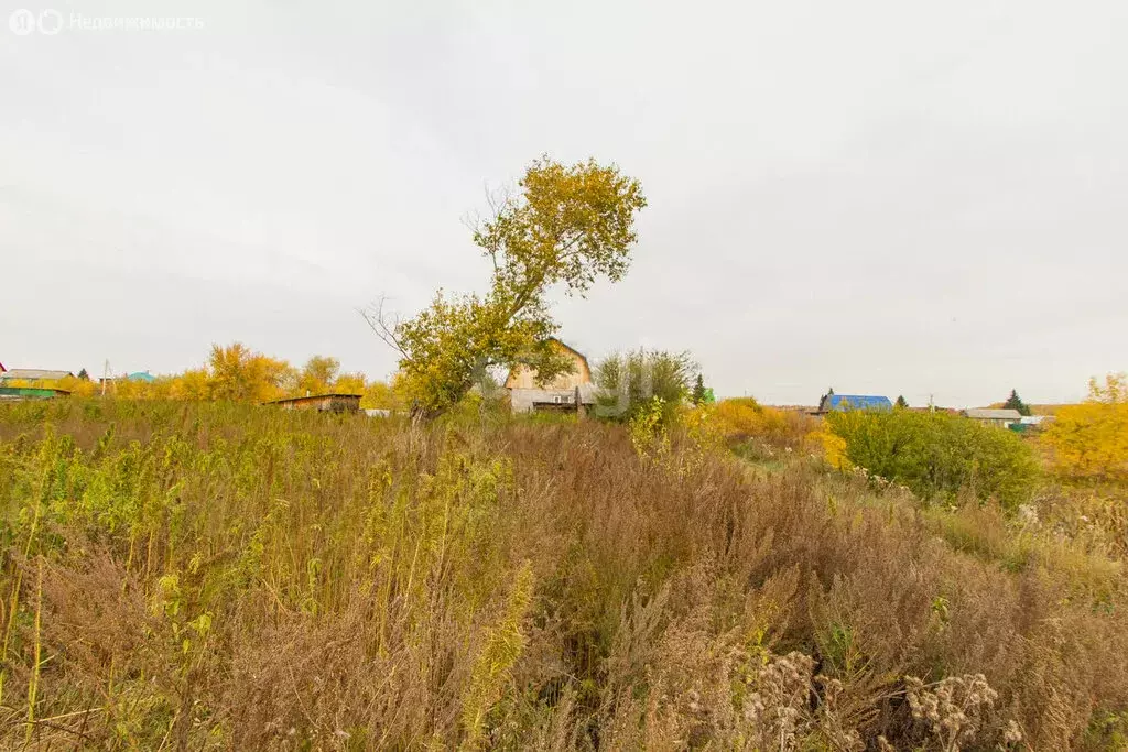 Участок в село Упорово, Первомайская улица (12.3 м) - Фото 2