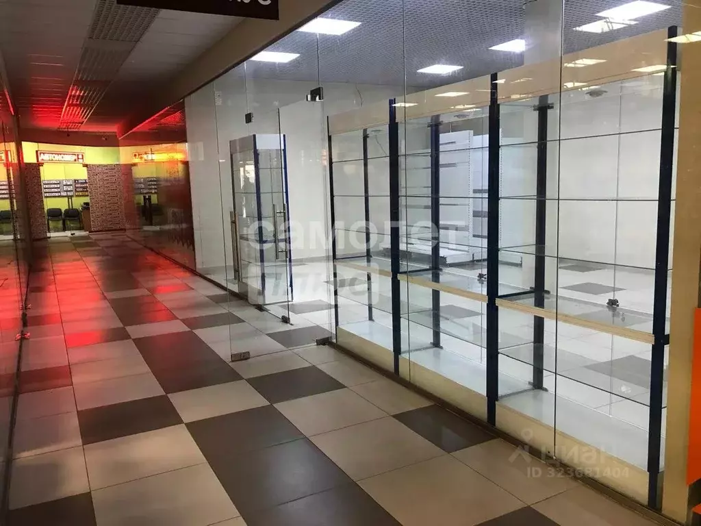 Офис в Курская область, Курск ул. Верхняя Луговая, 24 (47 м) - Фото 2