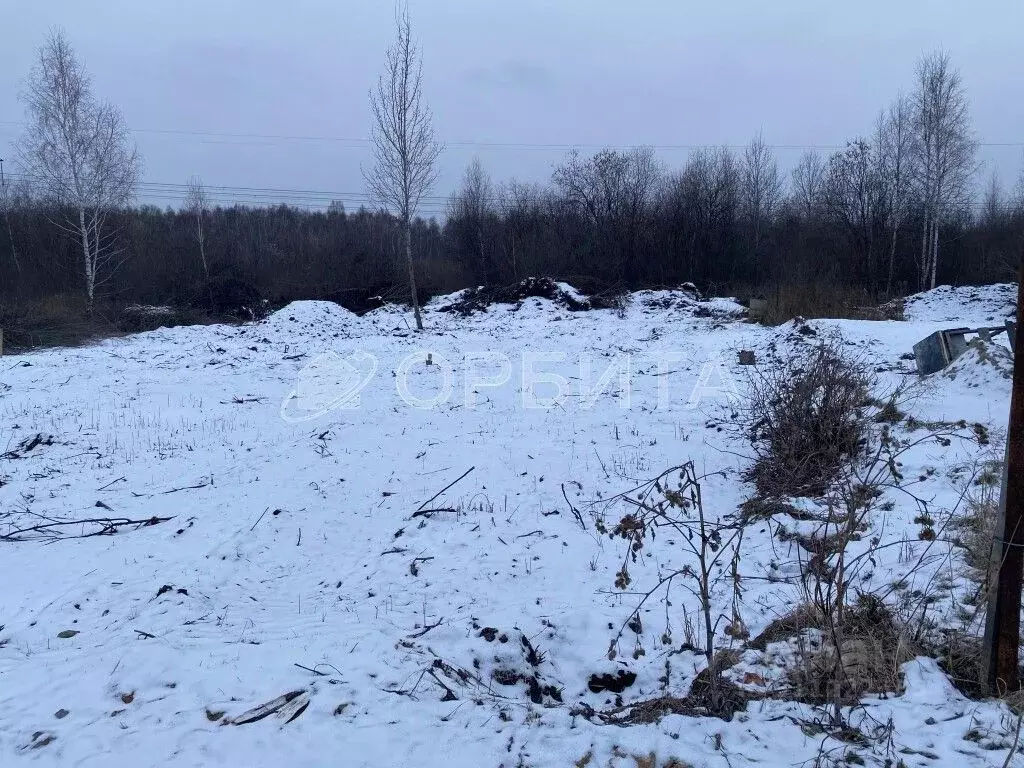 Участок в Тюменская область, Тюмень Автоприбор-2 СНТ, ул. Яблоневая ... - Фото 1